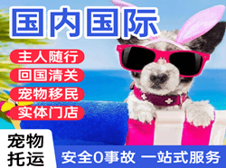 长乐航空运输国际宠物托运 【国